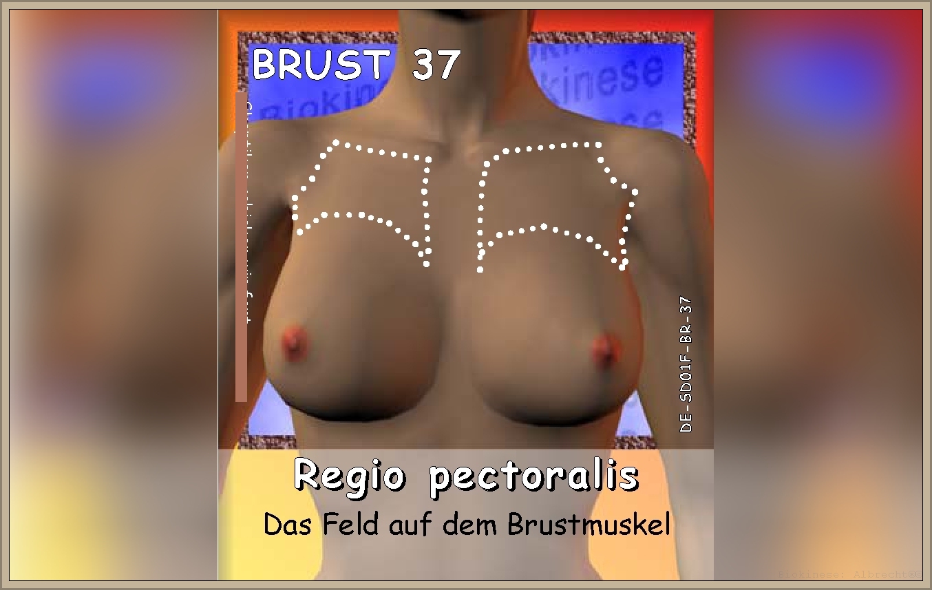 Frau das Feld auf dem Brustmuskel